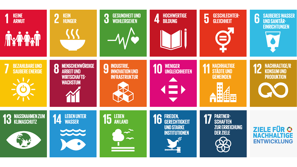 17 SDGs